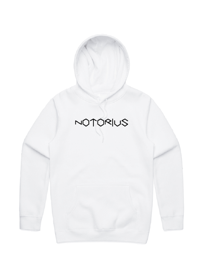 NS Hoddie