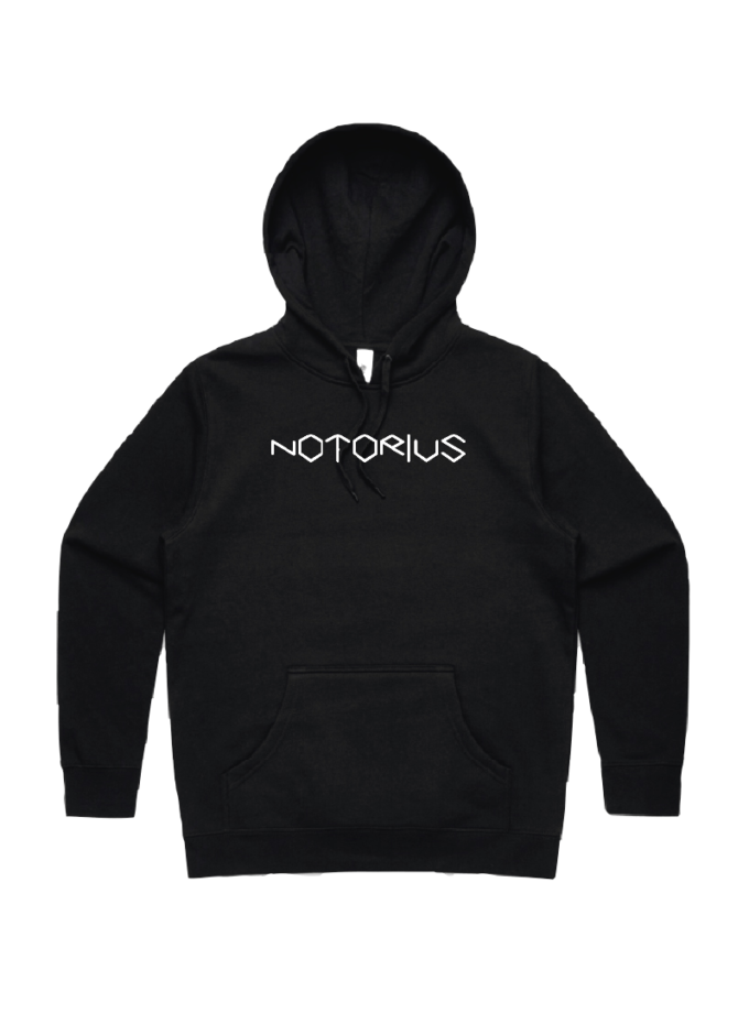 NS Hoddie