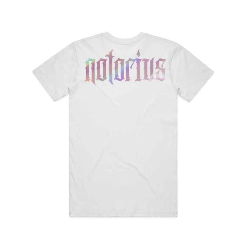 Jolly NS Melted - Image 6